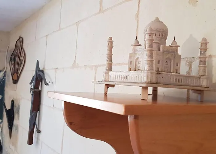 On An Olive Grove Séjour à la ferme *