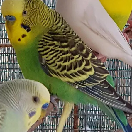 Κατάλυμα σε φάρμα On An Olive Grove