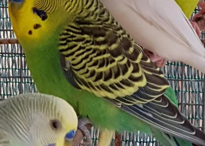 Agroturismo On An Olive Grove