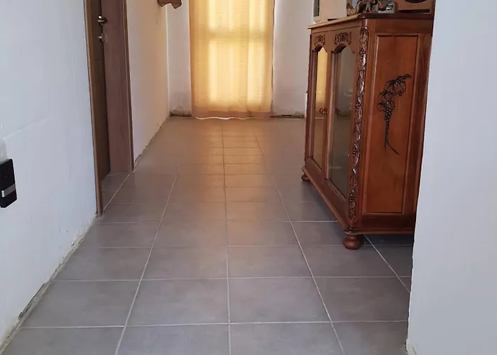 On An Olive Grove * Siggiewi